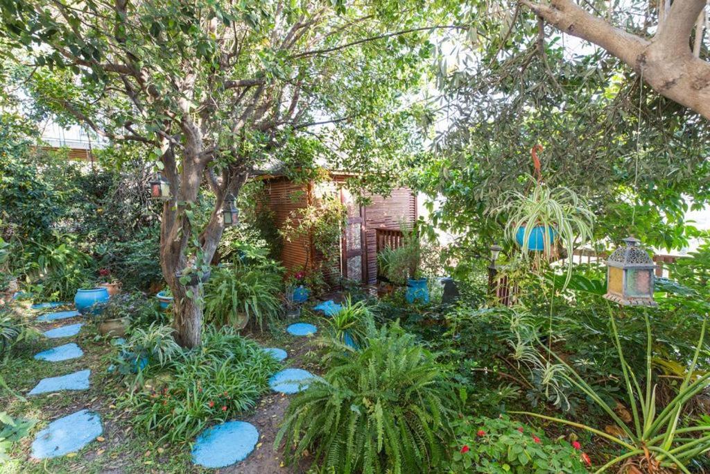 Havaya Ba Nof Lodge Rosh Pinna Bagian luar foto